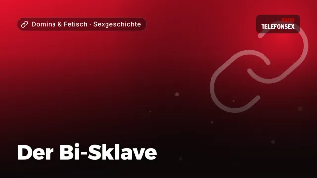 Sexgeschichte „Der Bi-Sklave“ – Thema Domina & Fetisch